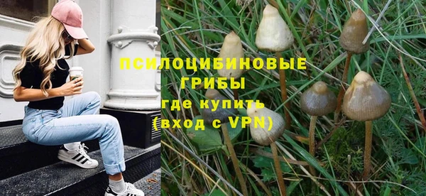 шишки Верея