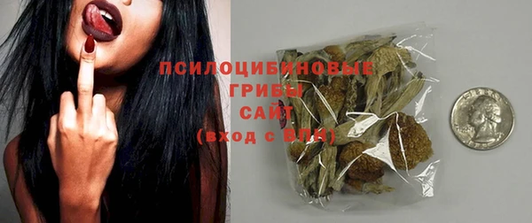 шишки Верея