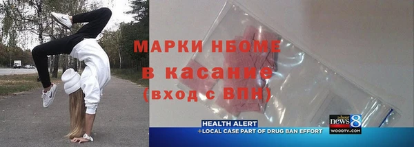 шишки Верея