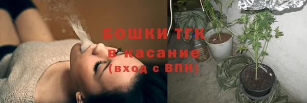 сатива Бородино