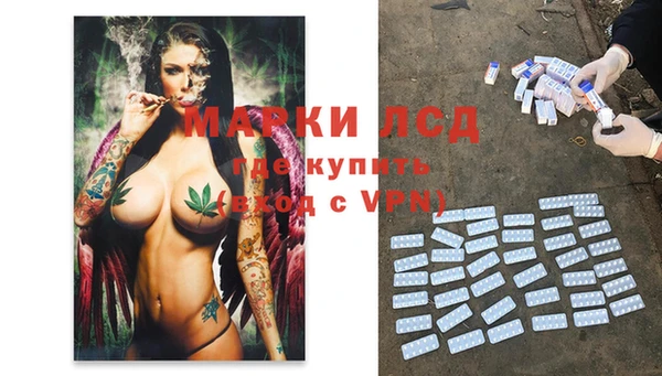шишки Верея