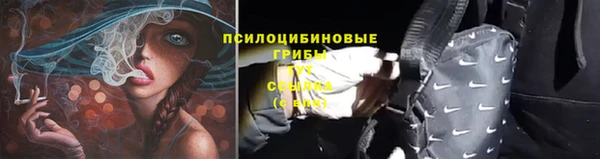 винт Бронницы