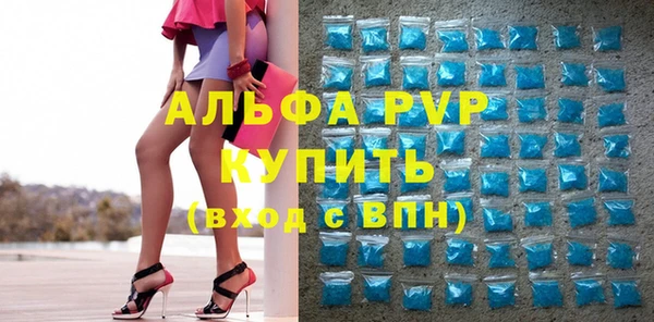 шишки Верея