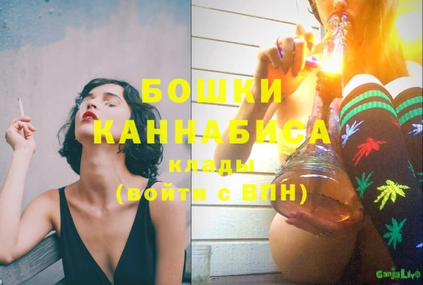 шишки Верея