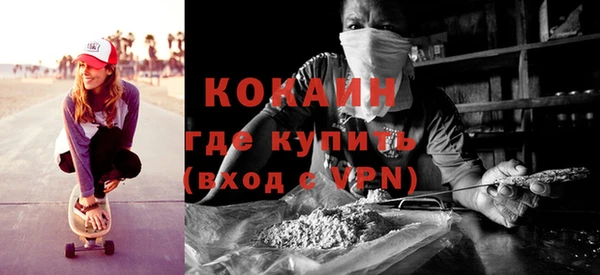 сатива Бородино