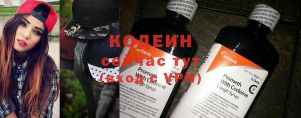 шишки Верея